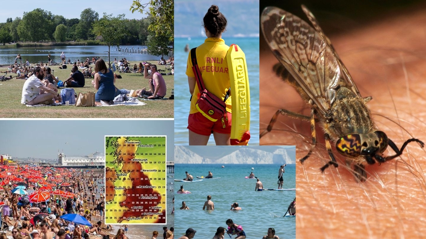 Britain heatwave causing huge rise in horsefly bite