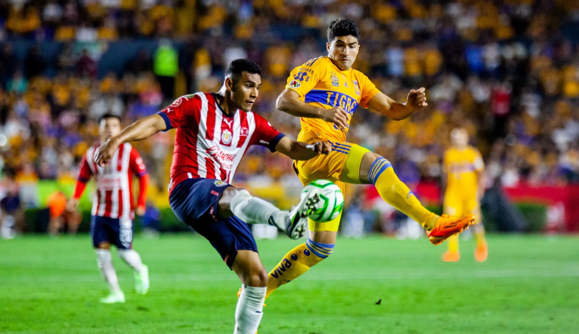 Chivas vs Tigres TV to watch the final of the Liga MX in the United