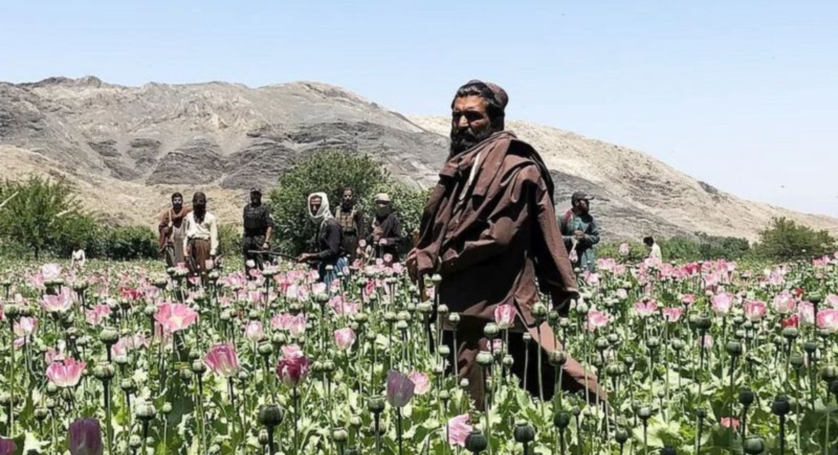 Inside the Taliban relentless war on drugs in Afghanistan