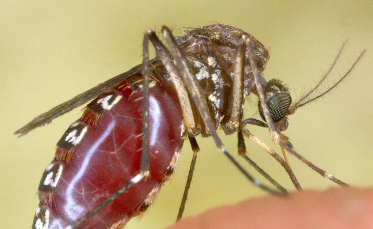 Orange County enlists drone technology to combat mosquitoes