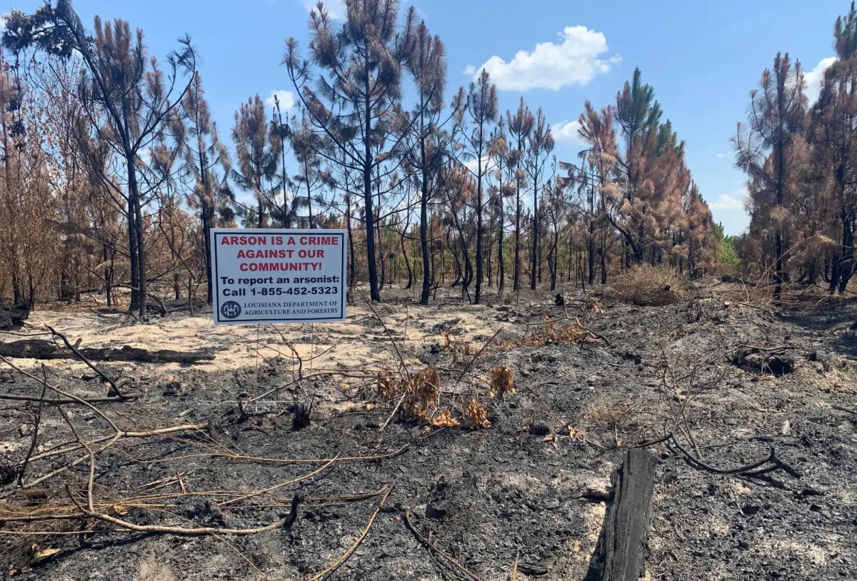 Authorities determine largest fire in Louisiana history was arson