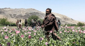Inside the Taliban's relentless war on drugs in Afghanistan
