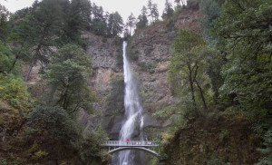 Man Died in Front of His Wife and 5 Children After Falling on a Hiking Trail in Oregon