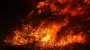 Bonny Wildfire Burns Over 2,300 Acres in Riverside County