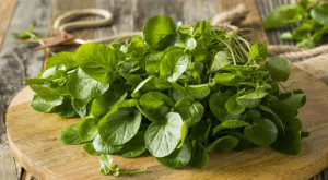 Watercress Declared the 'World's Healthiest Food' Why